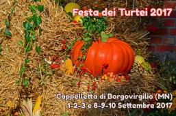 Cappelletta di Borgovirgilio (MN) - AMI - Festa dei Turtei 2017